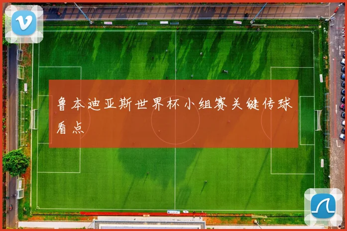 鲁本迪亚斯世界杯小组赛关键传球看点