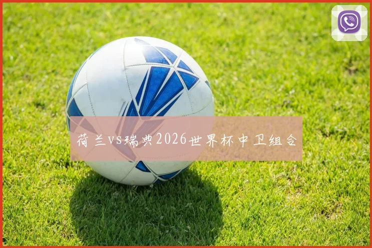 荷兰vs瑞典2026世界杯中卫组合