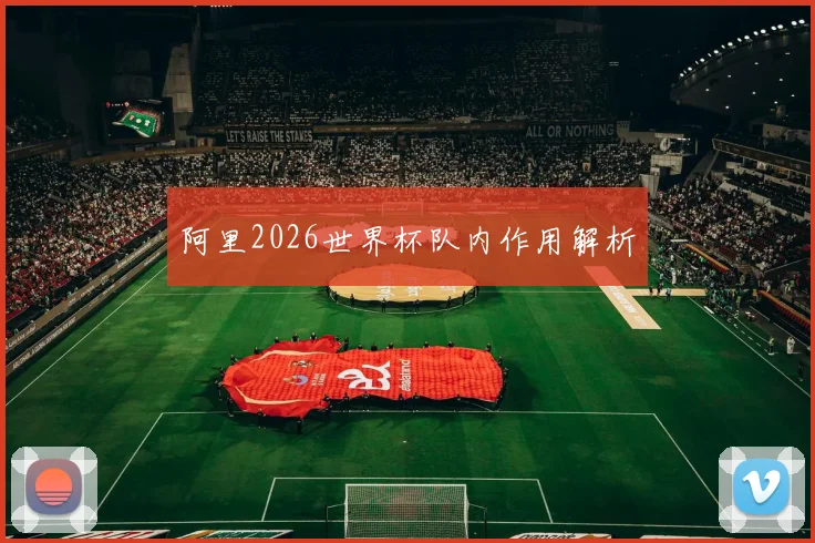 阿里2026世界杯队内作用解析