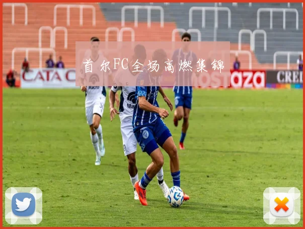 首尔FC全场高燃集锦