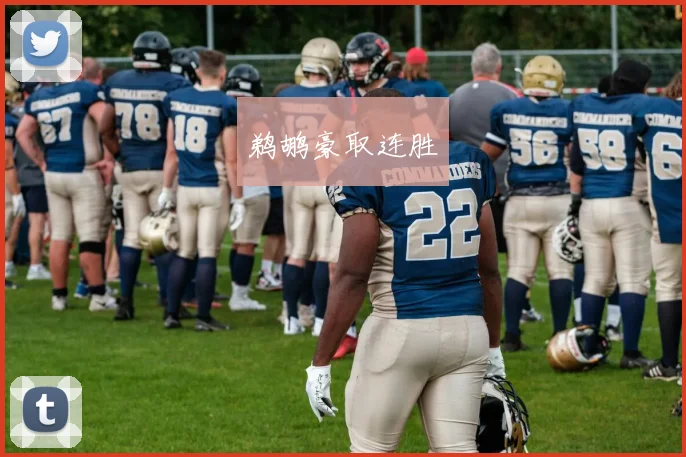 鹈鹕豪取连胜