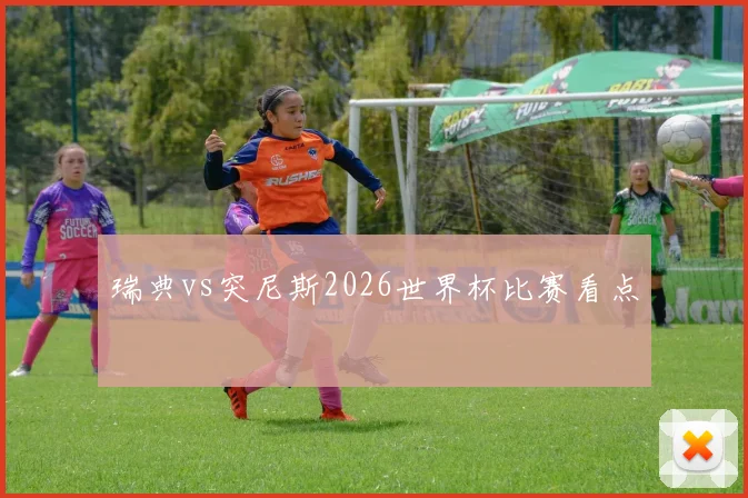 瑞典vs突尼斯2026世界杯比赛看点