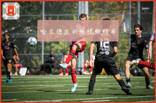 哈兰德发训练视频赔率