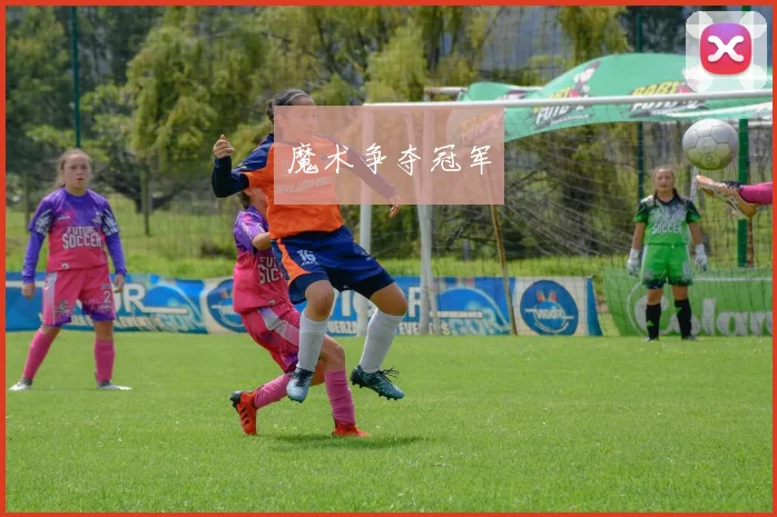 魔术争夺冠军