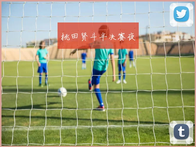 桃田贤斗半决赛夜