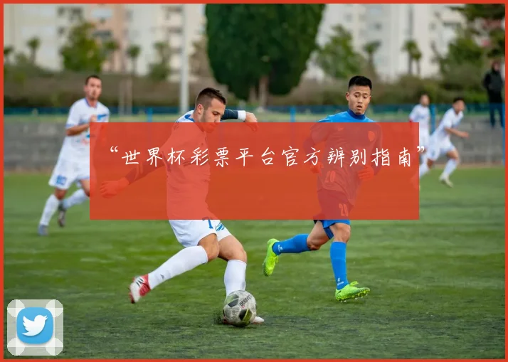 “世界杯彩票平台官方辨别指南”