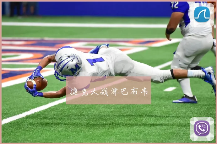 捷克大战津巴布韦