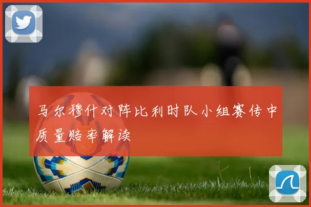 马尔穆什对阵比利时队小组赛传中质量赔率解读