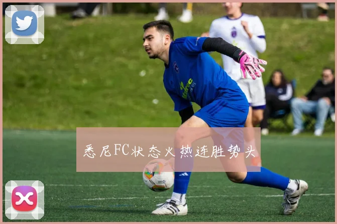 悉尼FC状态火热连胜势头