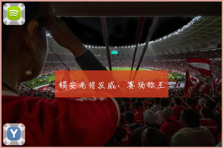 锡安老将发威，赛场称王