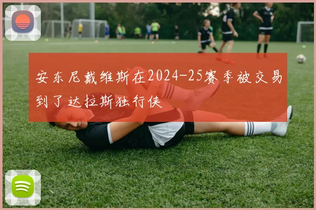 安东尼戴维斯在2024-25赛季被交易到了达拉斯独行侠