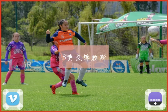 B费交锋赖斯