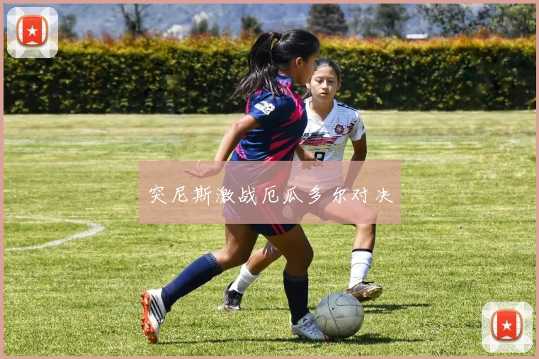 突尼斯激战厄瓜多尔对决