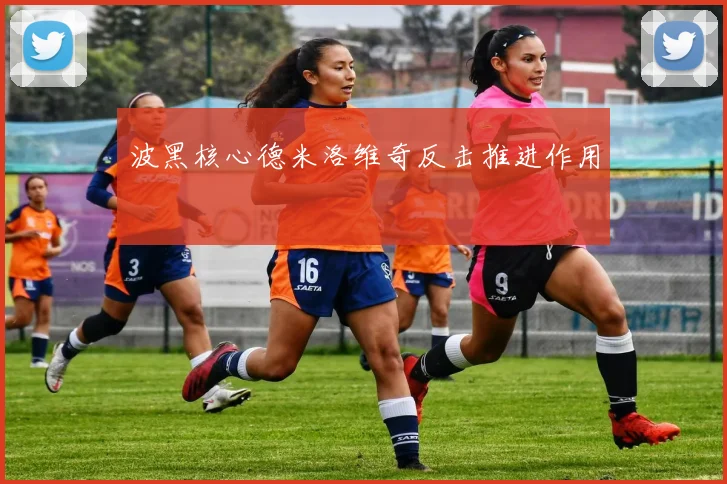 波黑核心德米洛维奇反击推进作用