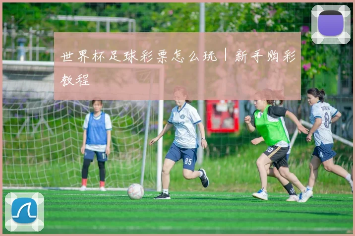 世界杯足球彩票怎么玩｜新手购彩教程