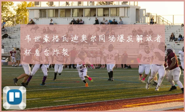 韦世豪格瓦迪奥尔同场爆发解放者杯看台炸裂