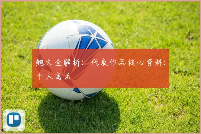鲍文全解析：代表作品核心资料：个人高光