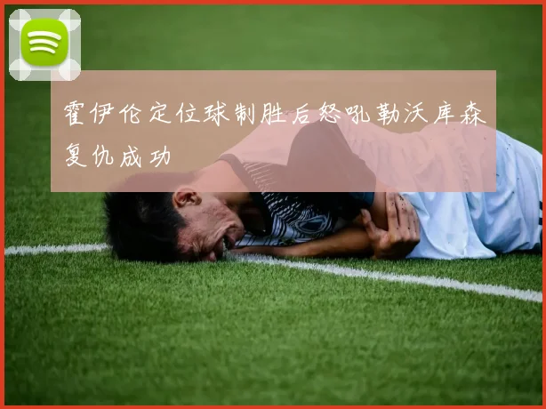 霍伊伦定位球制胜后怒吼勒沃库森复仇成功