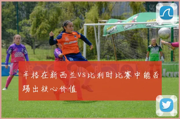 辛格在新西兰vs比利时比赛中能否踢出核心价值
