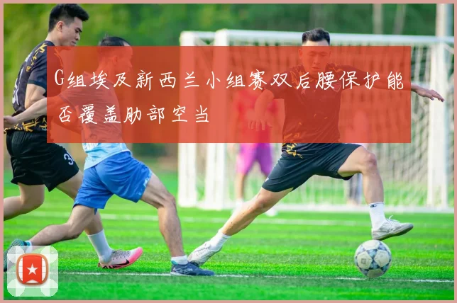 G组埃及新西兰小组赛双后腰保护能否覆盖肋部空当